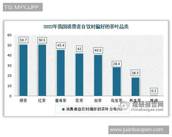 广州羽毛球队个人能力分析与表现评估研究报告