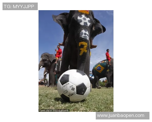 死亡之舞足球揭示生命的脆弱与激情的交织在绿茵场上的深刻寓意 死亡之舞足球揭示生命的脆弱与激情的交织在绿茵场上的深刻寓意