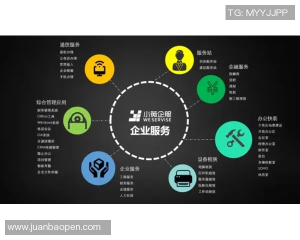 英雄联盟战队WE团队协作分析与战术配合探讨