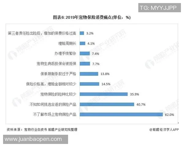 足球封口贴的创新设计与市场前景分析探讨
